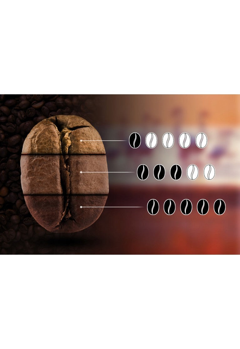 Kaffee aus Mexiko – Frisch geröstete ganze Bohnen | 100% Arabica | Spezialitätenkaffee
